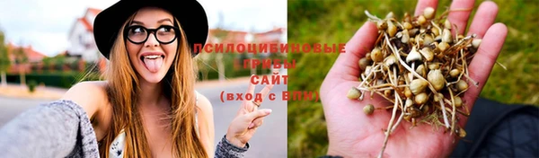 стаф Балабаново