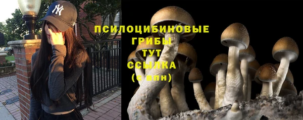 стаф Балабаново