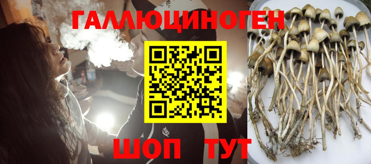 Семилуки  Псилоцибиновые грибы MAGIC MUSHROOMS  Вход с VPN 